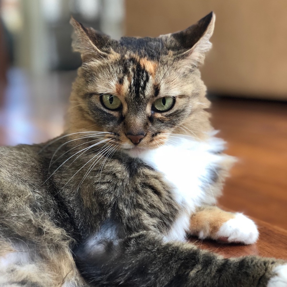 Meet your Posher, Melissa